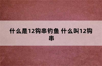 什么是12钩串钓鱼 什么叫12钩串